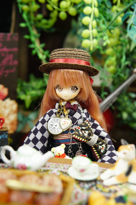 orange_pekoe_2_2021_2_19_DSC01459