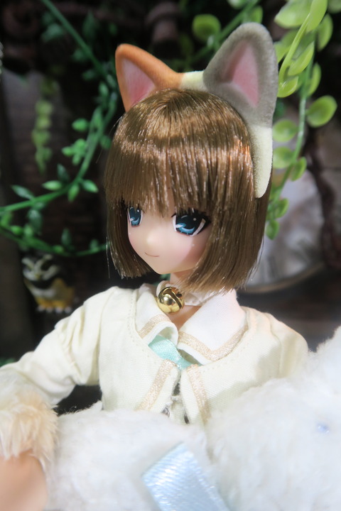 orange_pekoe_5_2017_8_19_IMG_8434