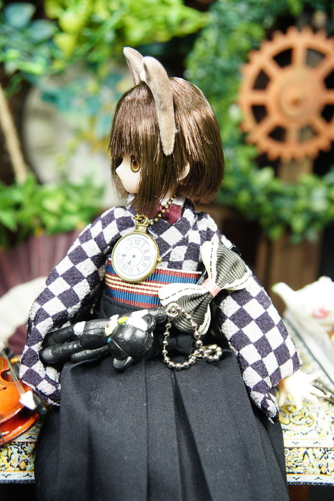 orange_pekoe_4_2019_6_15_DSC05686