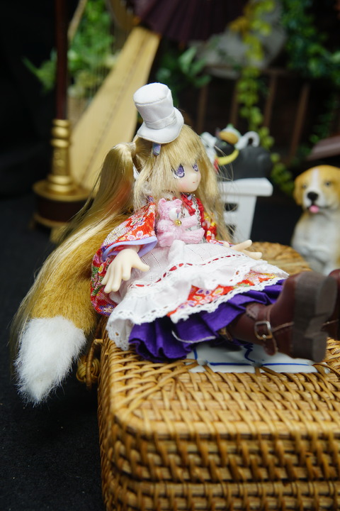orange_pekoe_2_7_2020_3_30_DSC03800