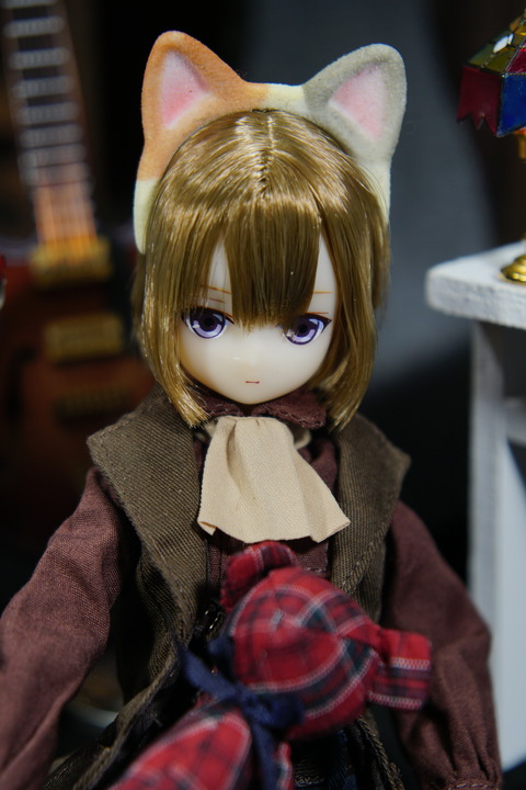 orange_pekoe_8_2018_6_23_DSC04346