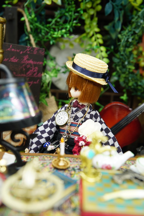 orange_pekoe_2_2020_7_11_DSC09822