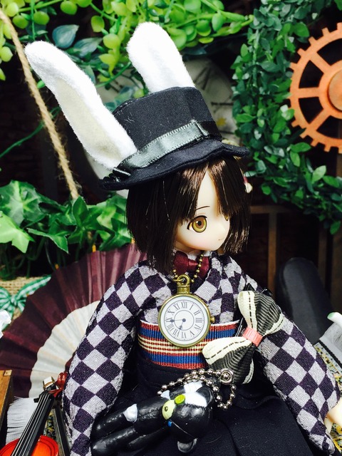 orange_pekoe_8_2019_6_22_IMG_1984