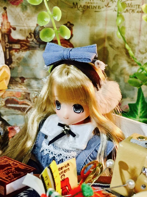 orange_pekoe_4_2019_10_14_IMG_1853