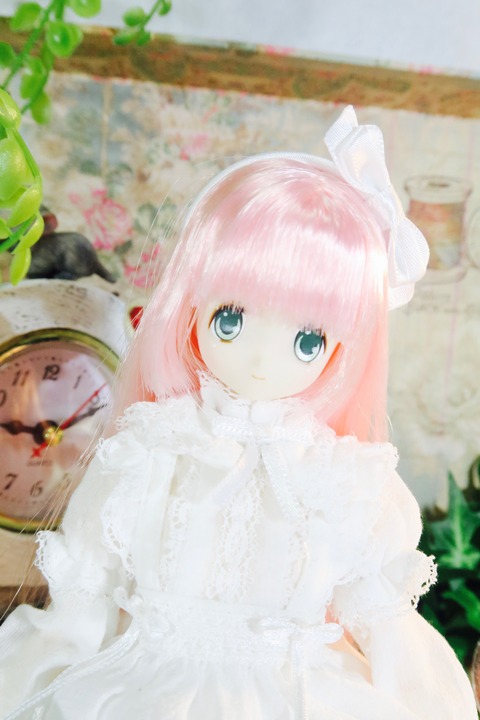 orange_pekoe_4_2017_4_12_IMG_6577