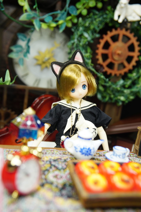 orange_pekoe_7_2020_11_6_DSC04518