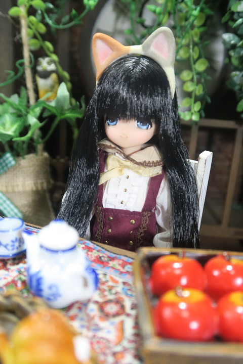 orange_pekoe_8_2019_10_8_IMG_0693