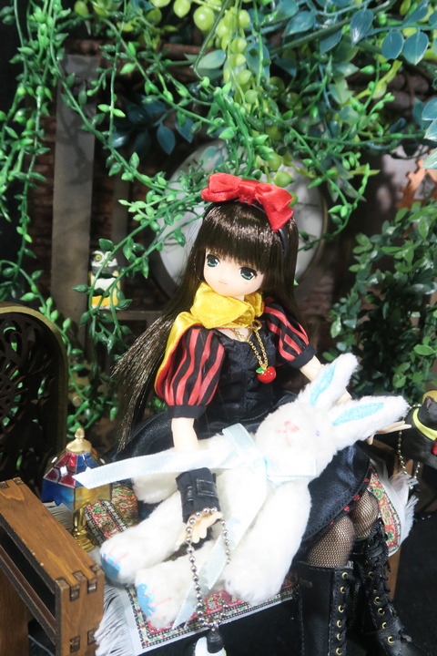 orange_pekoe_7_2020_1_12_IMG_7236