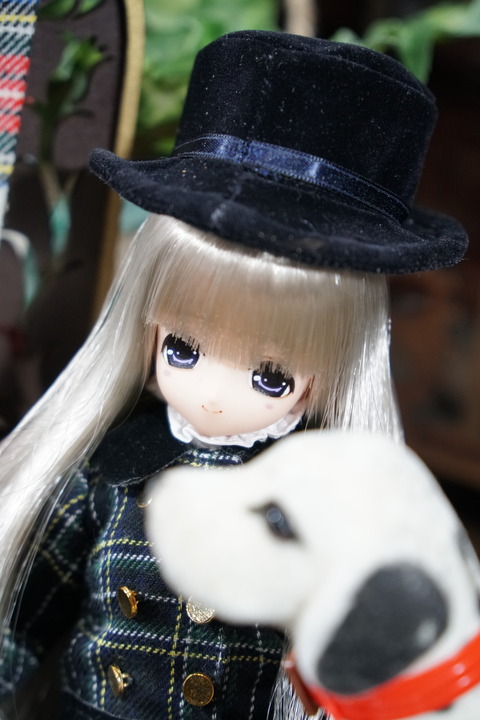 orange_pekoe_3_2020_7_27_DSC00858