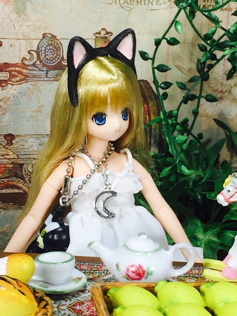 orange_pekoe_3_2018_5_27_IMG_0156