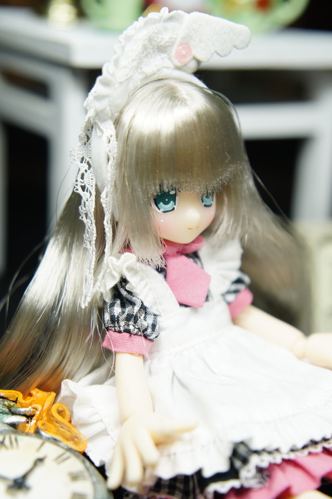 orange_pekoe_4_2020_2_27_DSC09097