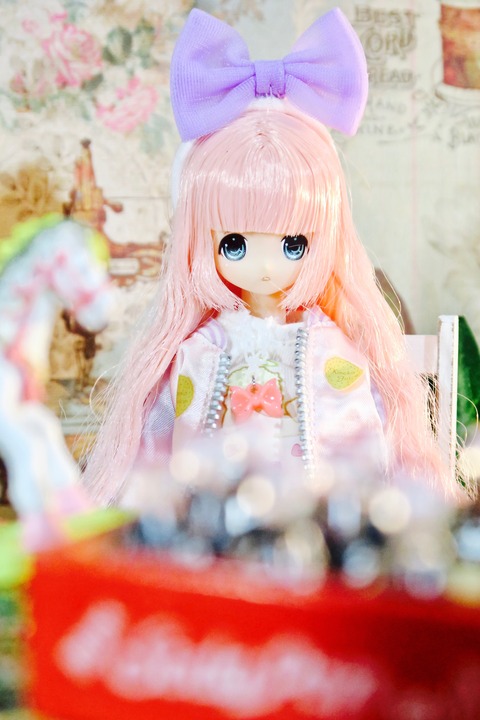 orange_pekoe_8_2017_4_28_IMG_4966