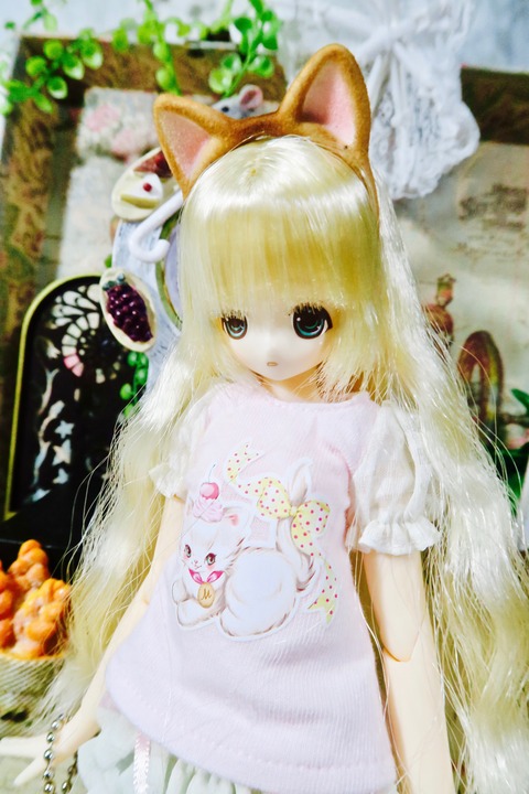 orange_pekoe_5_2020_5_12_IMG_9165