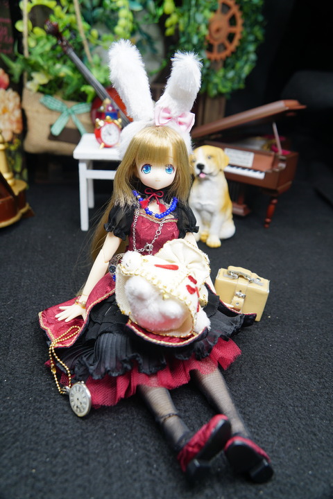 orange_pekoe_5_2020_6_7_DSC08037