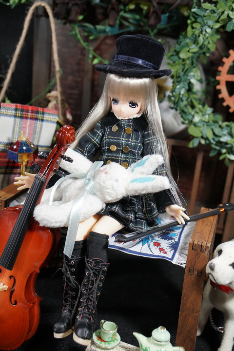 orange_pekoe_5_2020_7_27_DSC00957