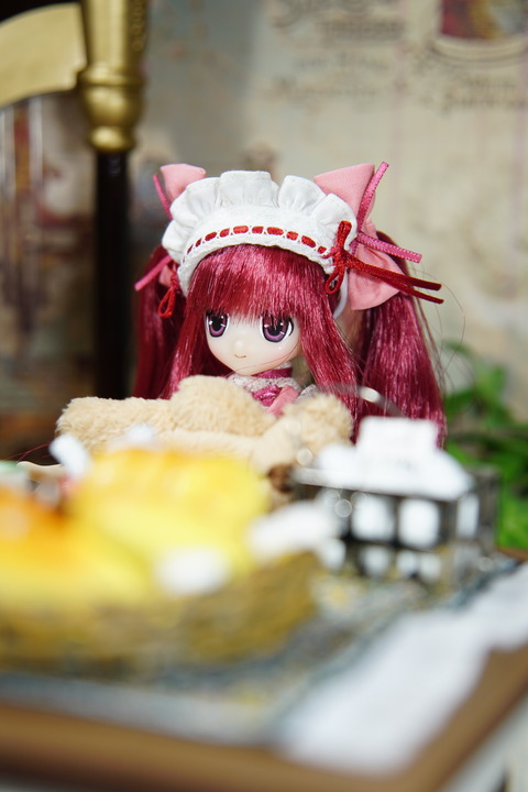 orange_pekoe_3_2018_8_30_DSC07115