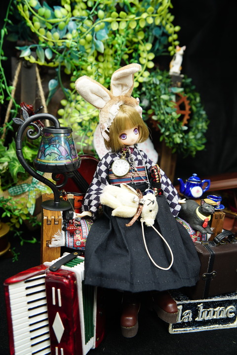 orange_pekoe_7_2020_5_17_DSC07377
