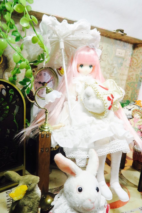 orange_pekoe_4_2019_6_26_IMG_6630