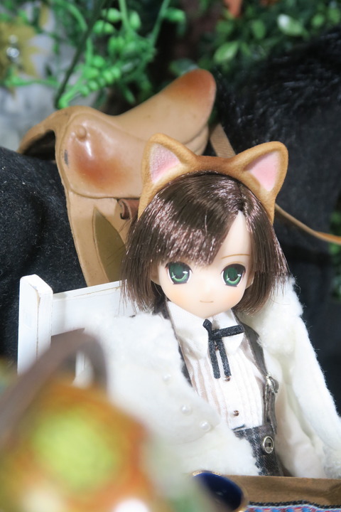 orange_pekoe_8_2017_4_26_IMG_6976
