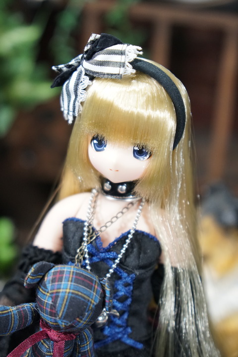 orange_pekoe_3_2019_6_20_DSC01345
