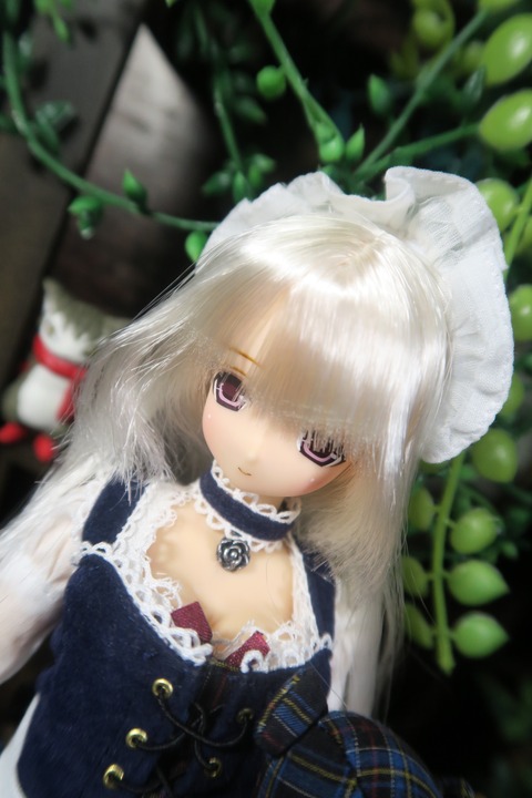 orange_pekoe_1_2_4_2019_10_29_IMG_3996