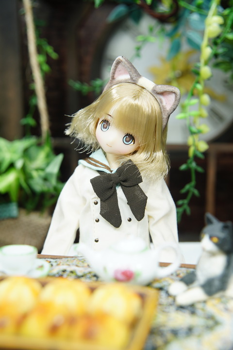 orange_pekoe_2_2021_6_15_DSC01486