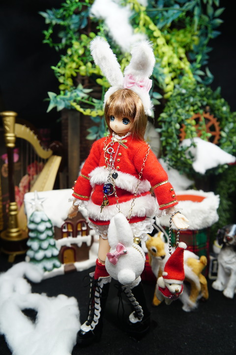orange_pekoe_3_2019_12_25_DSC06265