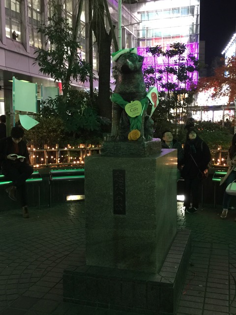 orange_pekoe_9_2019_12_25_IMG_1356のコピー