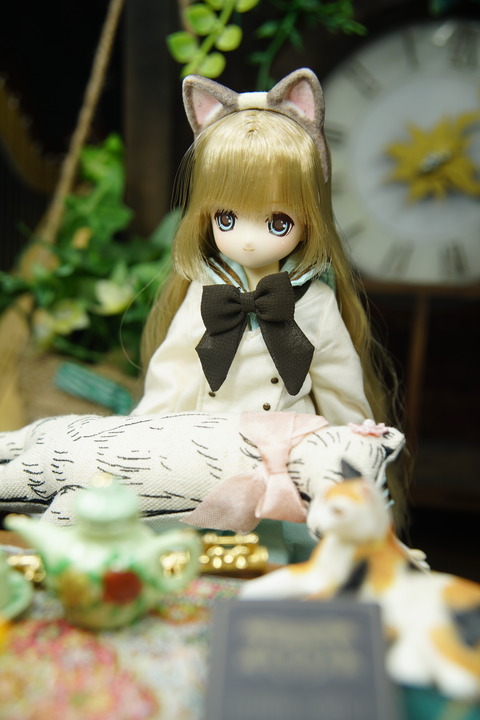orange_pekoe_7_2019_10_31_DSC01221