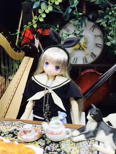 orange_pekoe_2_2021_2_16_IMG_0243