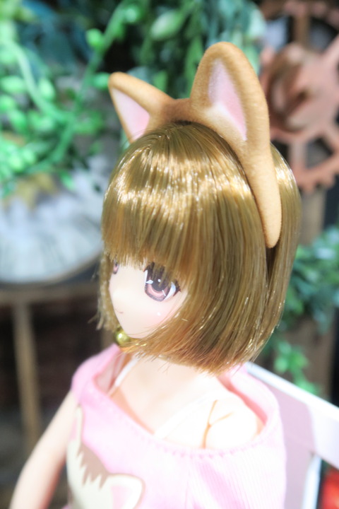 orange_pekoe_3_2017_4_23_IMG_6807