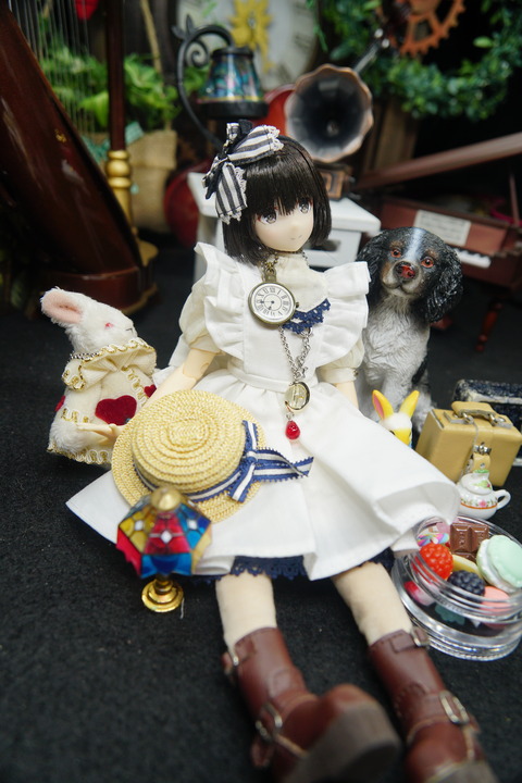 orange_pekoe_7_2020_12_10_DSC05869