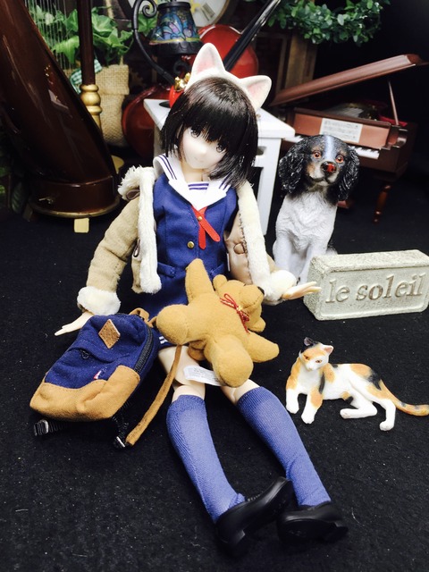 orange_pekoe_8_2020_12_16_IMG_9288