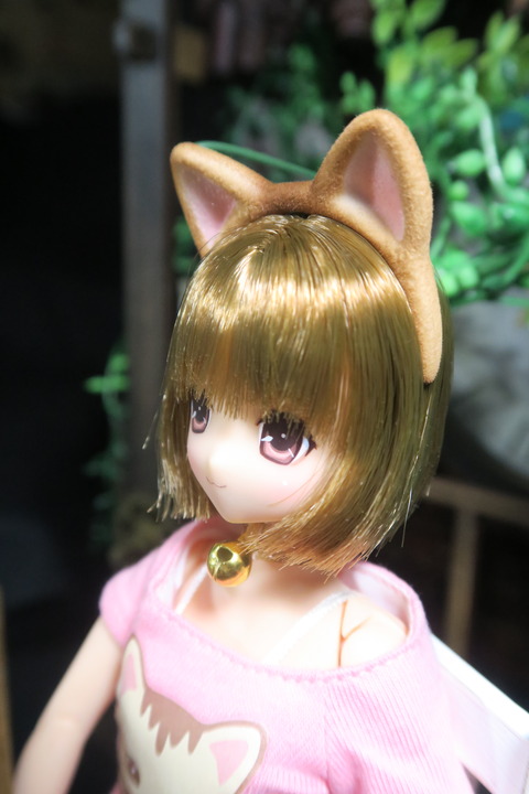 orange_pekoe_7_2017_4_25_IMG_6805