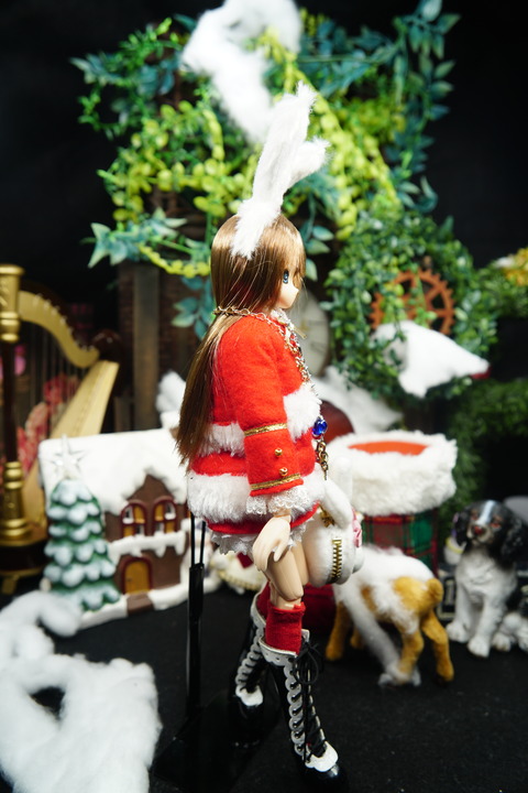 orange_pekoe_5_2019_12_24_DSC06281