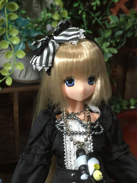 orange_pekoe_2_2020_2_20_IMG_2068