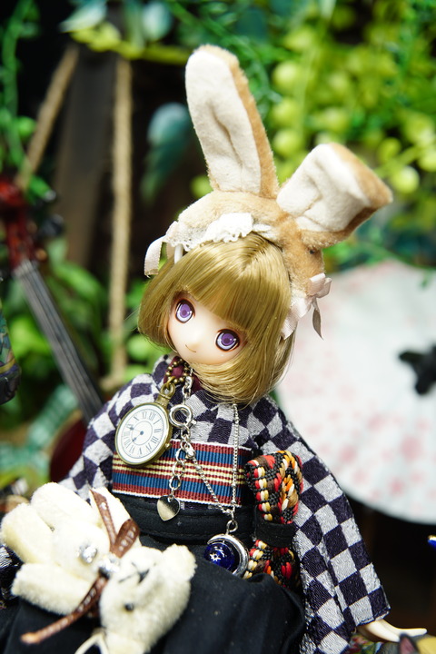 orange_pekoe_4_2020_5_17_DSC07373