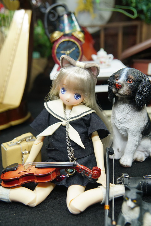 orange_pekoe_7_2021_2_11_DSC07086