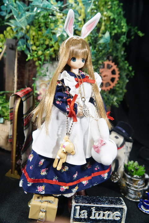 orange_pekoe_8_2019_12_27_DSC03354