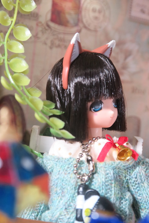 orange_pekoe_3_2020_5_27_IMG_5922