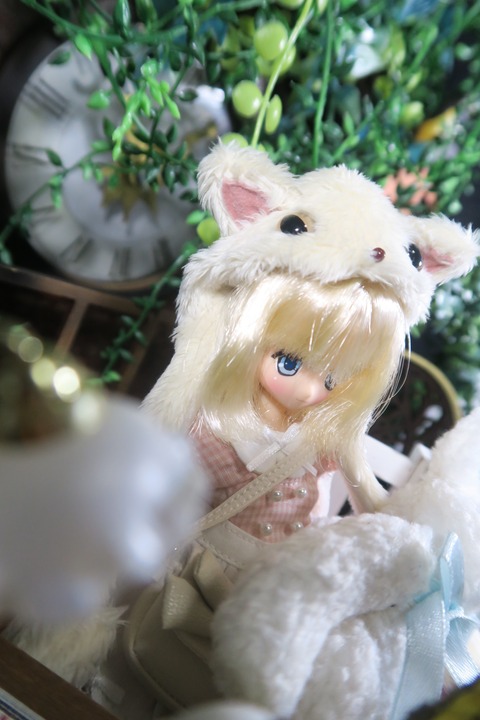 orange_pekoe_4_10_26_IMG_4076