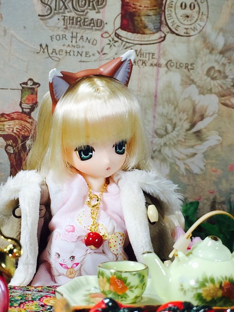 orange_pekoe_3_2018_8_25_IMG_9357