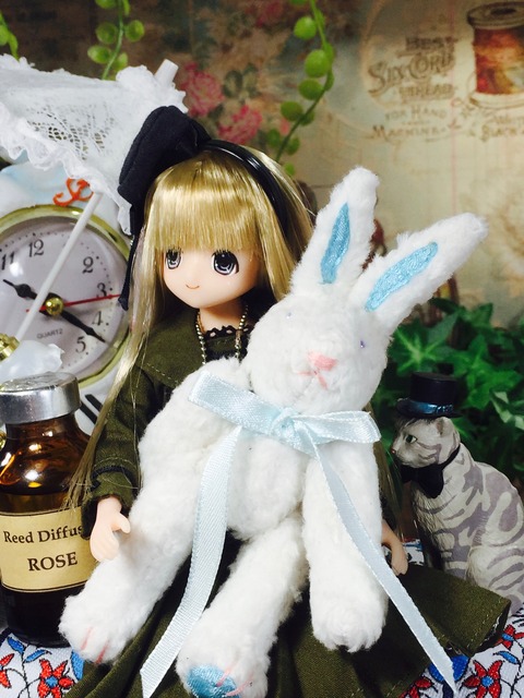 orange_pekoe_7_2019_6_8_IMG_6983
