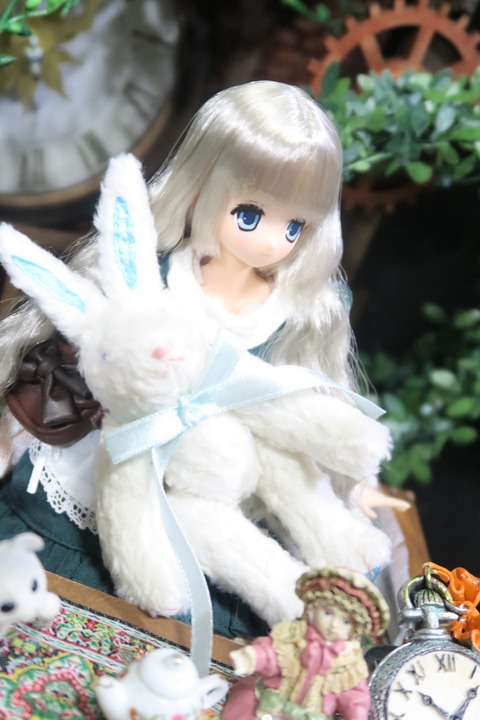 orange_pekoe_3_2019_9_9_IMG_3295