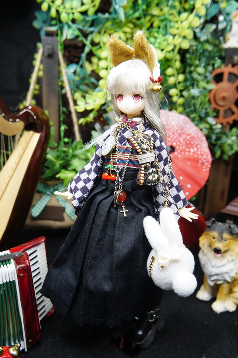 orange_pekoe_6_2020_6_11_DSC08564