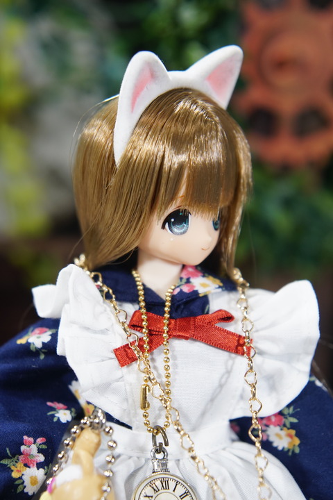 orange_pekoe_6_2019_12_27_DSC03285