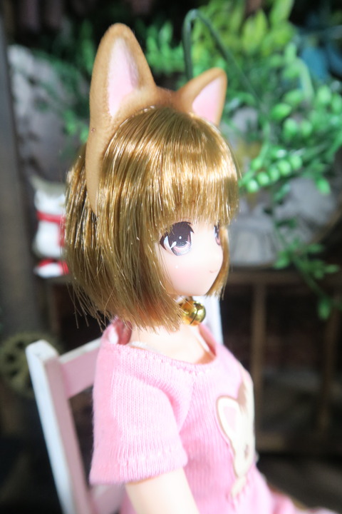 orange_pekoe_4_2017_4_23_IMG_6856