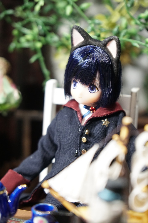 orange_pekoe_4_2021_5_9_DSC00484