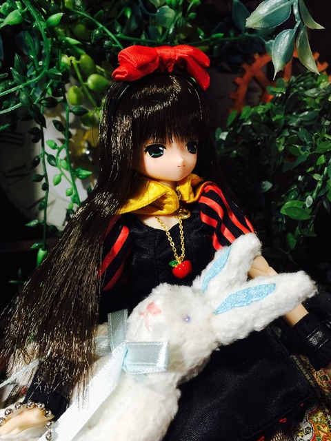 orange_pekoe_2_2020_4_30_IMG_3529