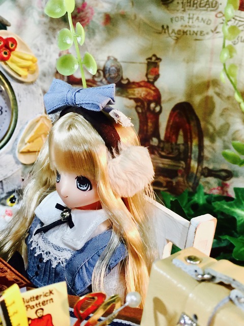 orange_pekoe_2_2021_2_22_IMG_1846